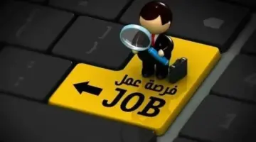 1590 فرصة عمل جديدة بـ 11 محافظة.. الشروط والتخصصات المطلوبة